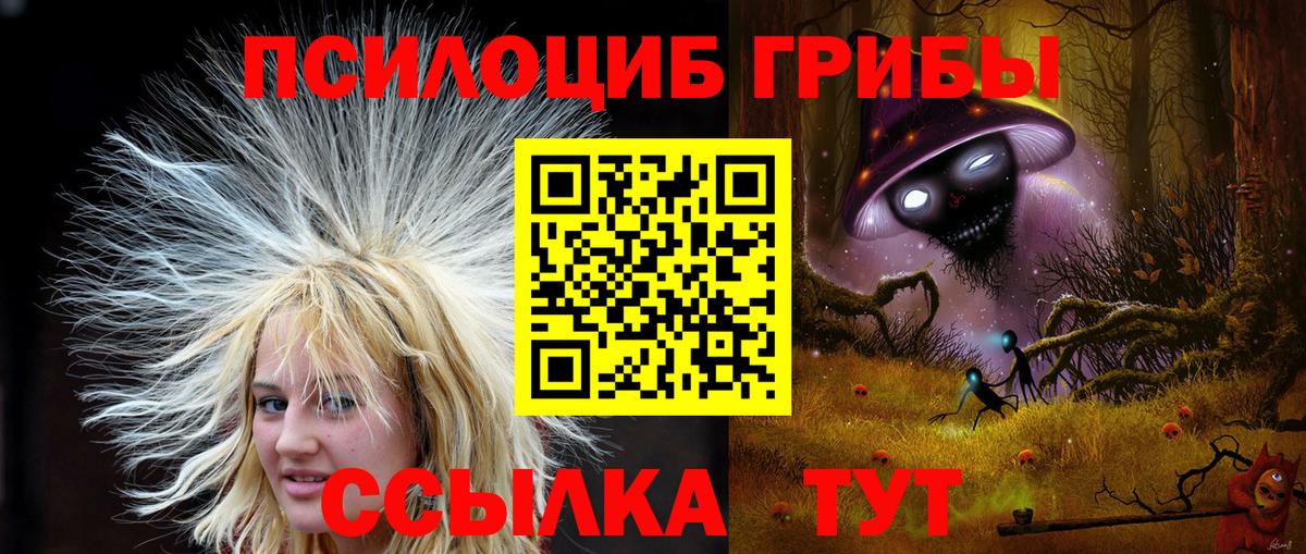 Добрянка  Псилоцибиновые грибы Psilocybine cubensis  Вход с VPN 